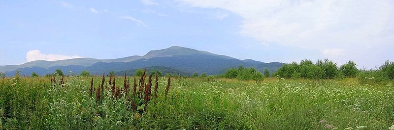 File:Tarnica.jpg