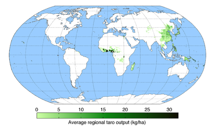 Geographic distribution of taro production