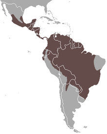 Carte d'Amérique centrale et du Sud avec large zone brune centrale