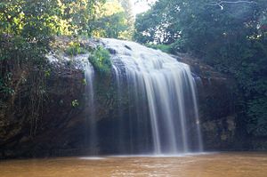 Cuộc Đua Kỳ Thú 2019