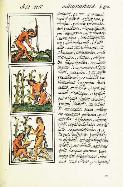 File:The Florentine Codex- Agriculture.tiff