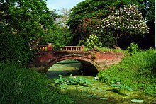 Old bridge inside the Botanical Garden The Old bridge inside Botanical Garden.jpg