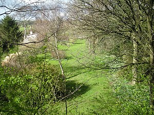 The site of Peplow Station - geograph.org.uk - 754376.jpg