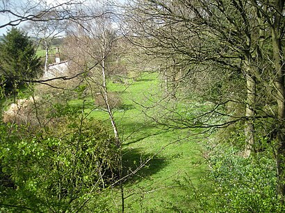 The site of Peplow Station - geograph.org.uk - 754376.jpg