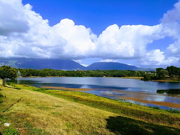 Lake 3. Большой парк тирана. Тирана парк озеро. Большой парк Албания. Три озера.