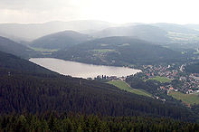 Blick auf den Titisee vom Hochfirst