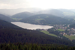 August 2003 view of Titisee-Neustadt from the Mount Hochfirst
