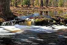 Tobyhanna Creek in 2017 Tobyhanna Creek (4) (33102194274).jpg