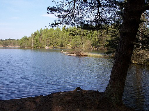 Tranquil scene at High Dam - geograph.org.uk - 2371661