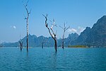 Thumbnail for File:Trees rising out of Cheow Lan Lake, blue sky, eternal summer in Surat Thani.jpg