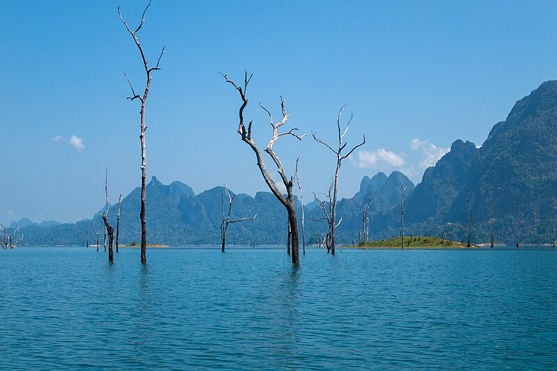 File:Trees rising out of Cheow Lan Lake, blue sky, eternal summer in Surat Thani.jpg