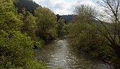 Le Neckar entre Epfendorf et Irslenbach