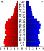 Population pyramid Shelby County[11]