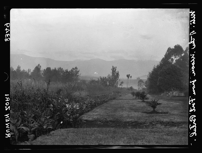 File:Uganda. Ruwenzori Range. Ruwenzori Range from the hotel grounds LOC matpc.17517.jpg