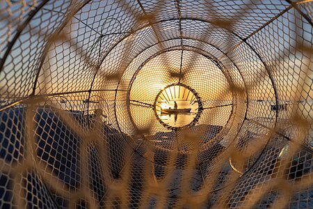 Un pecheur rentre au port au lever du jour à kerkennah - vue large - tunisie