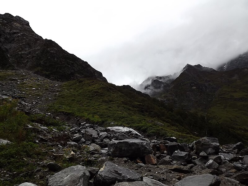 File:Valley of Flowers National Park 34.JPG