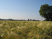 Blick auf Varaize (17) vom Friedhof, Juni 2010