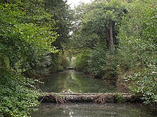 <span class="mw-page-title-main">Ventiford Brook</span> Stream in Devon, England