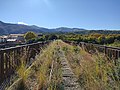 El viaducte de Ceret, envaït per la vegetació