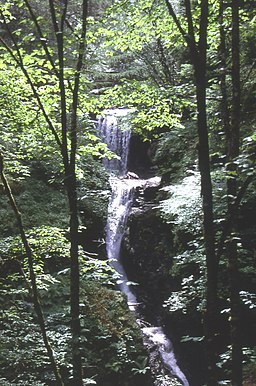 Victoria Falls - geograph.org.uk - 7156