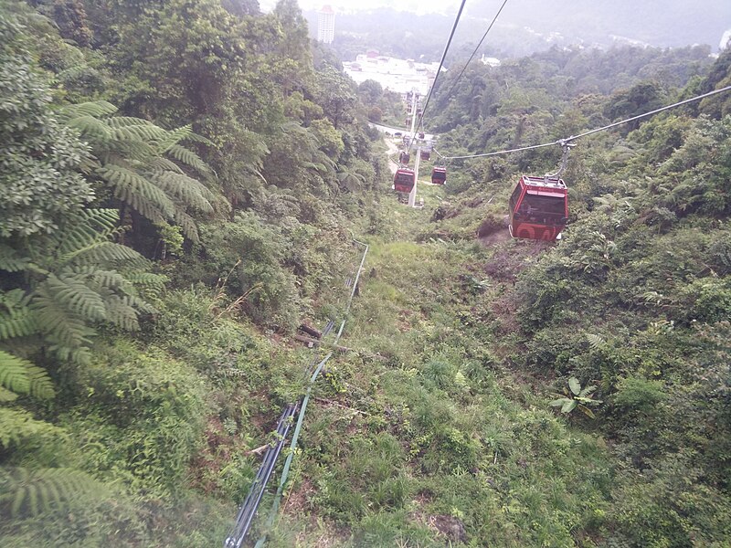 File:View from the Cable Car at Genting Highlands, Malaysia (9).jpg