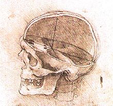 View of a Skull II.jpg