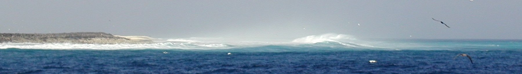 Banner WV Clipperton Waves.jpg