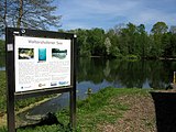 Waltershofener See mit Tafel im Freiburger Mooswald