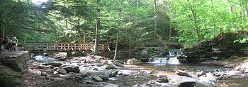 Photo of two creeks in rocky beds that meet, surrounded by sunlit forest and rocky outcrops. There are hikers at far left, a wooden footbridge crossing the stream at left, and a small waterfalls at far right.