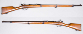 Werder rifle M / 1869