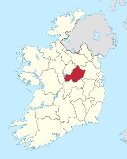 2014 Westmeath County Council election