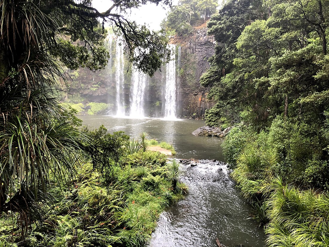 Whangārei Falls