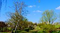 Wiosenny widok z parku. - panoramio.jpg