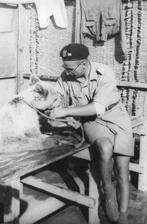 Wojtek: Biografía, Legado., Véase también