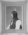 Yellow Hair-Pe-Hi-Zi-Zih. Brule Sioux, 1872 - NARA - 518978.jpg