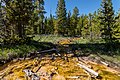 * Nomination Gibbon Geyser Basin in the Yellowstone National Park, Wyoming, USA --XRay 03:30, 17 August 2022 (UTC) * Promotion  Support Good quality -- Johann Jaritz 03:56, 17 August 2022 (UTC)