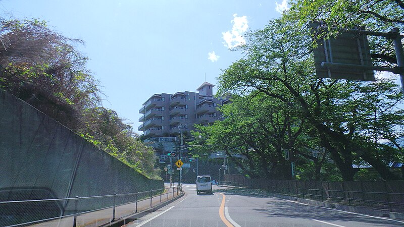 File:Yoshihama, Yugawara, Ashigarashimo District, Kanagawa Prefecture 259-0312, Japan - panoramio (8).jpg