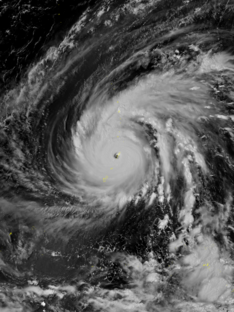 Typhoon Yutu