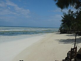 Zanzibar Beach.JPG