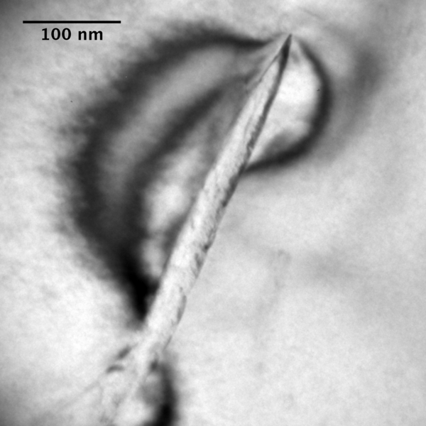 File:Zirconium Hydride in the microstructure of Zircaloy-4.png