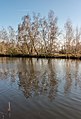 Zicht op de poel en de eilandjes.