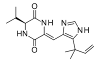 (-) - Aurantiamine.png