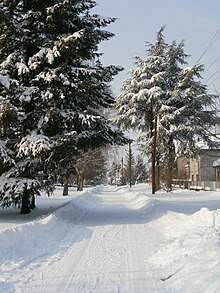 Шантиќ во зима 2012