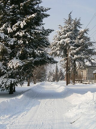 <span class="mw-page-title-main">Aleksa Šantić (village)</span> Village in Vojvodina, Serbia