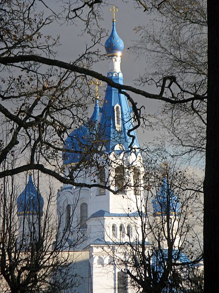 File:Гатчина. Покровский собор, вид из парка 02.jpg
