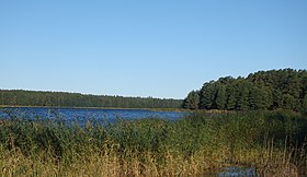 Кургальский заказник, озеро Липовское