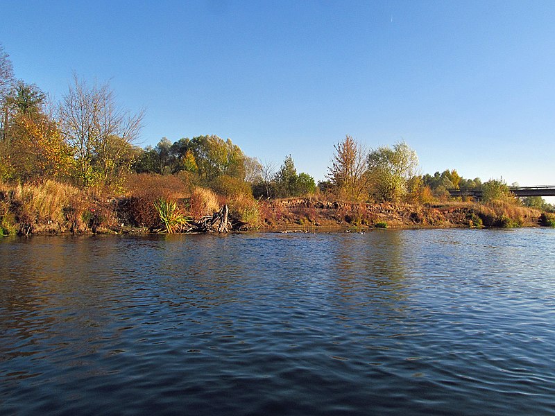 File:После Суровца. - panoramio.jpg