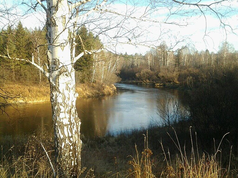 Уровень воды в реке уй