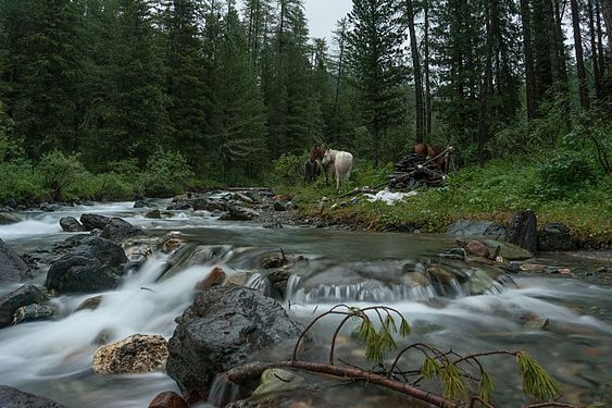 The Yeshtykol River, Shavlinsky Sanctuary, Republic of Altai, by N 3 14 15 92 65