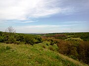 Landschaft der Forstwirtschaft Novokodatskoye